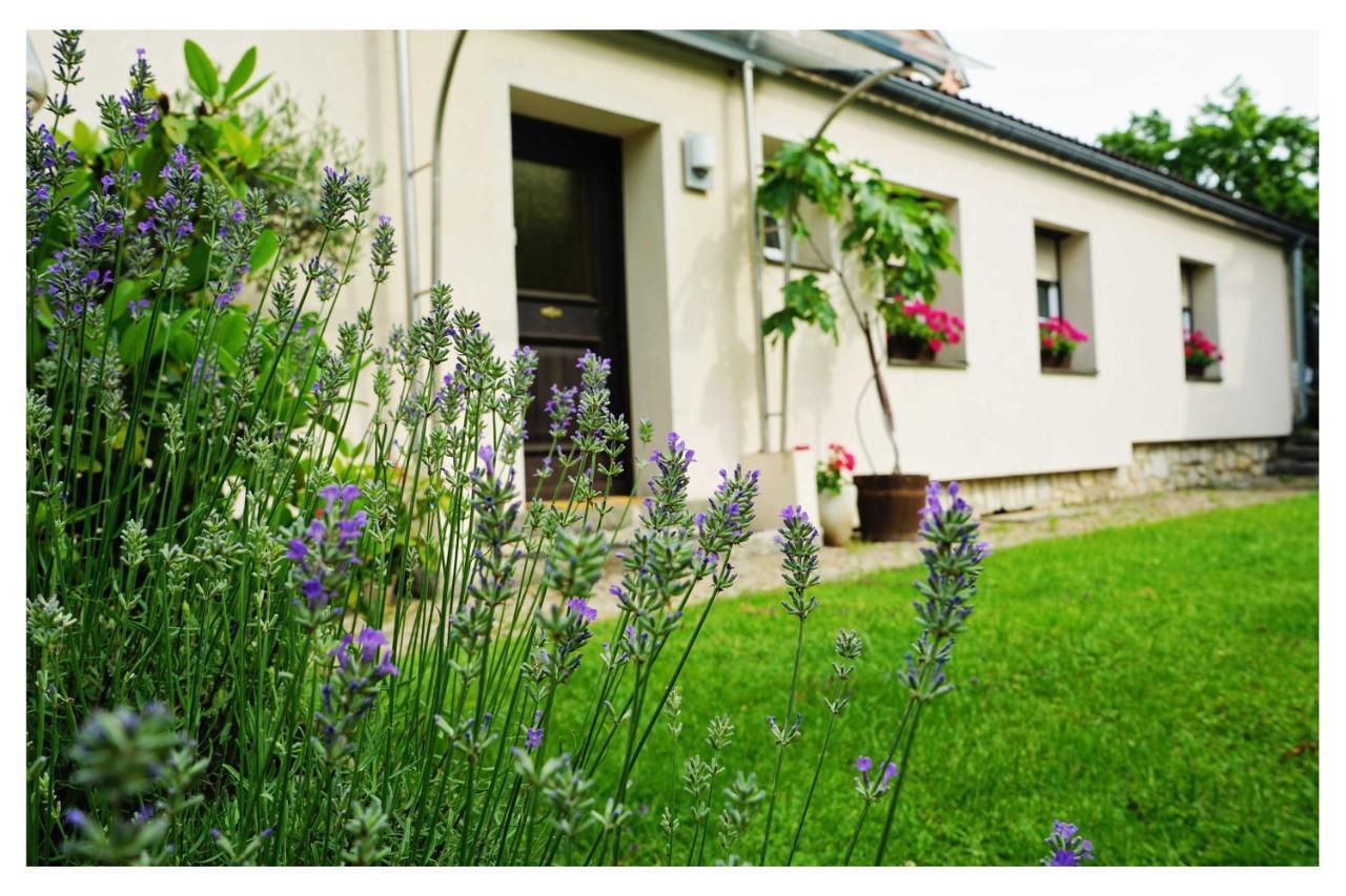 Ingrid'S Guesthouse Spittal ชปิททาลอันแดร์เดรา ภายนอก รูปภาพ