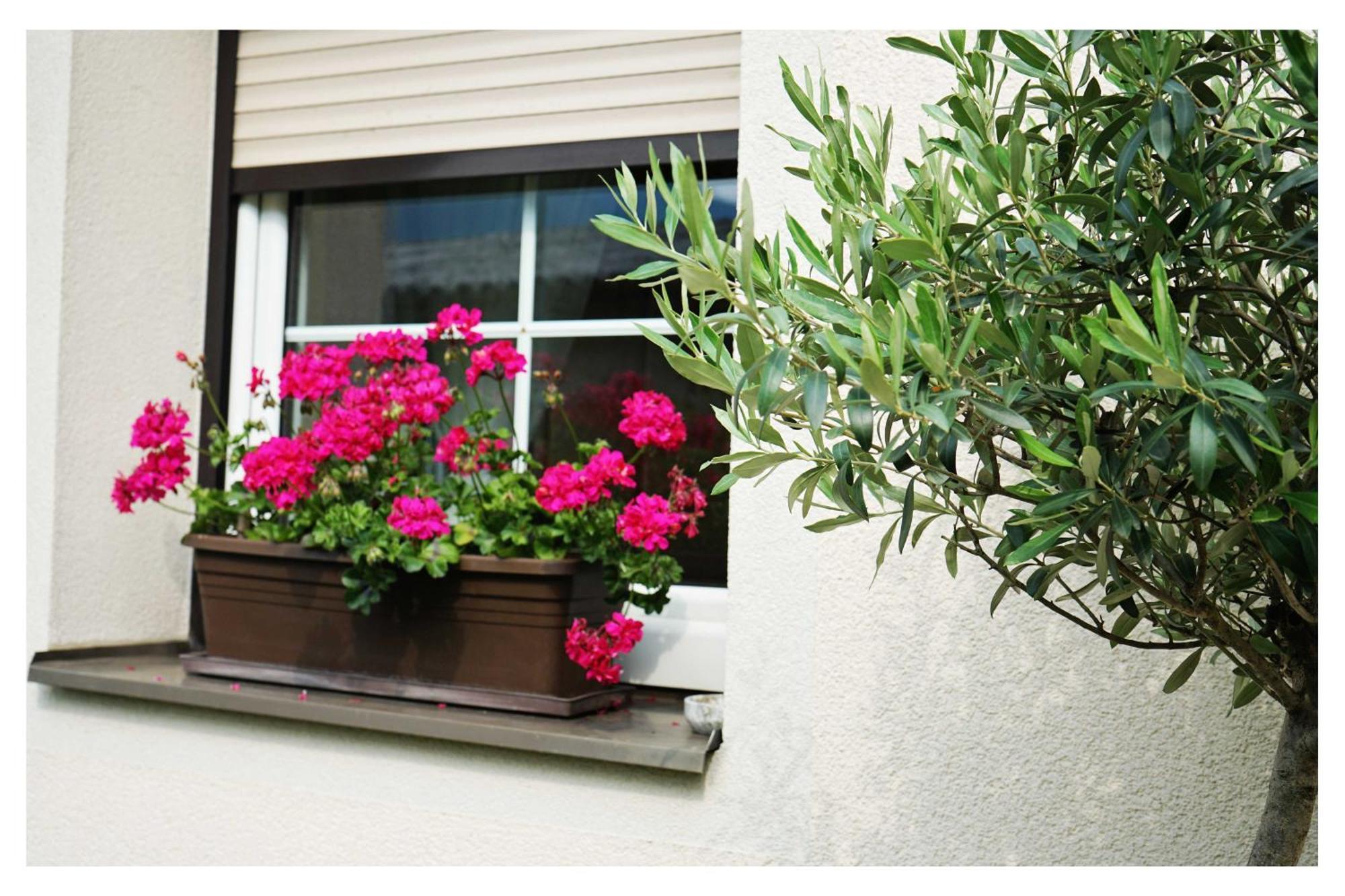 Ingrid'S Guesthouse Spittal ชปิททาลอันแดร์เดรา ภายนอก รูปภาพ