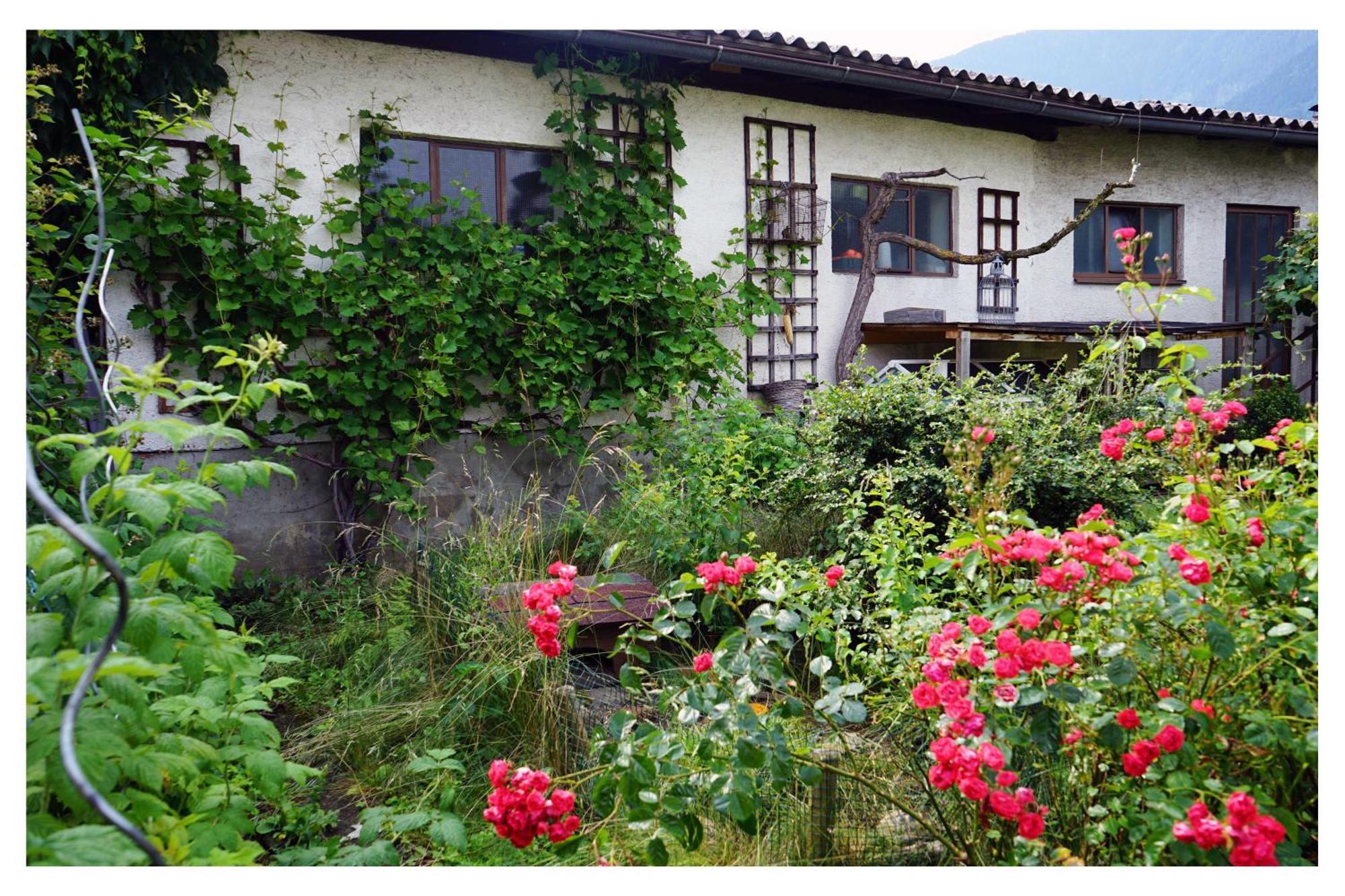 Ingrid'S Guesthouse Spittal ชปิททาลอันแดร์เดรา ภายนอก รูปภาพ