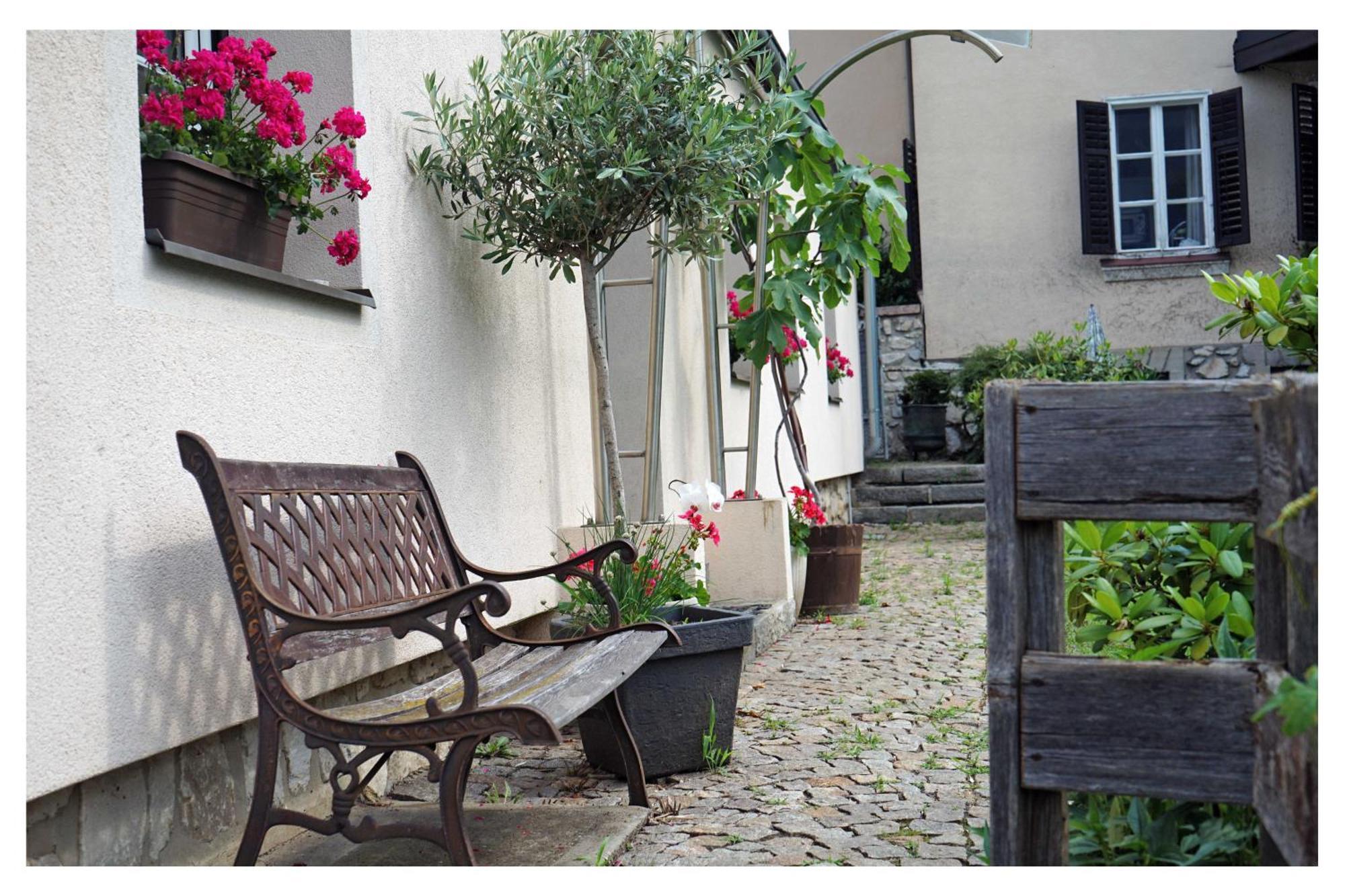 Ingrid'S Guesthouse Spittal ชปิททาลอันแดร์เดรา ภายนอก รูปภาพ